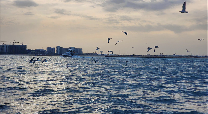 4-Hour Baby Yacht Trip at Jarada Island